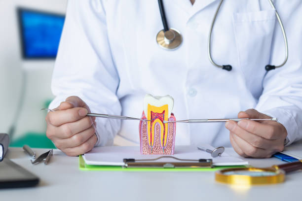 Best Knocked-Out Tooth (Avulsed Tooth) Treatment in Steele Creek, AK